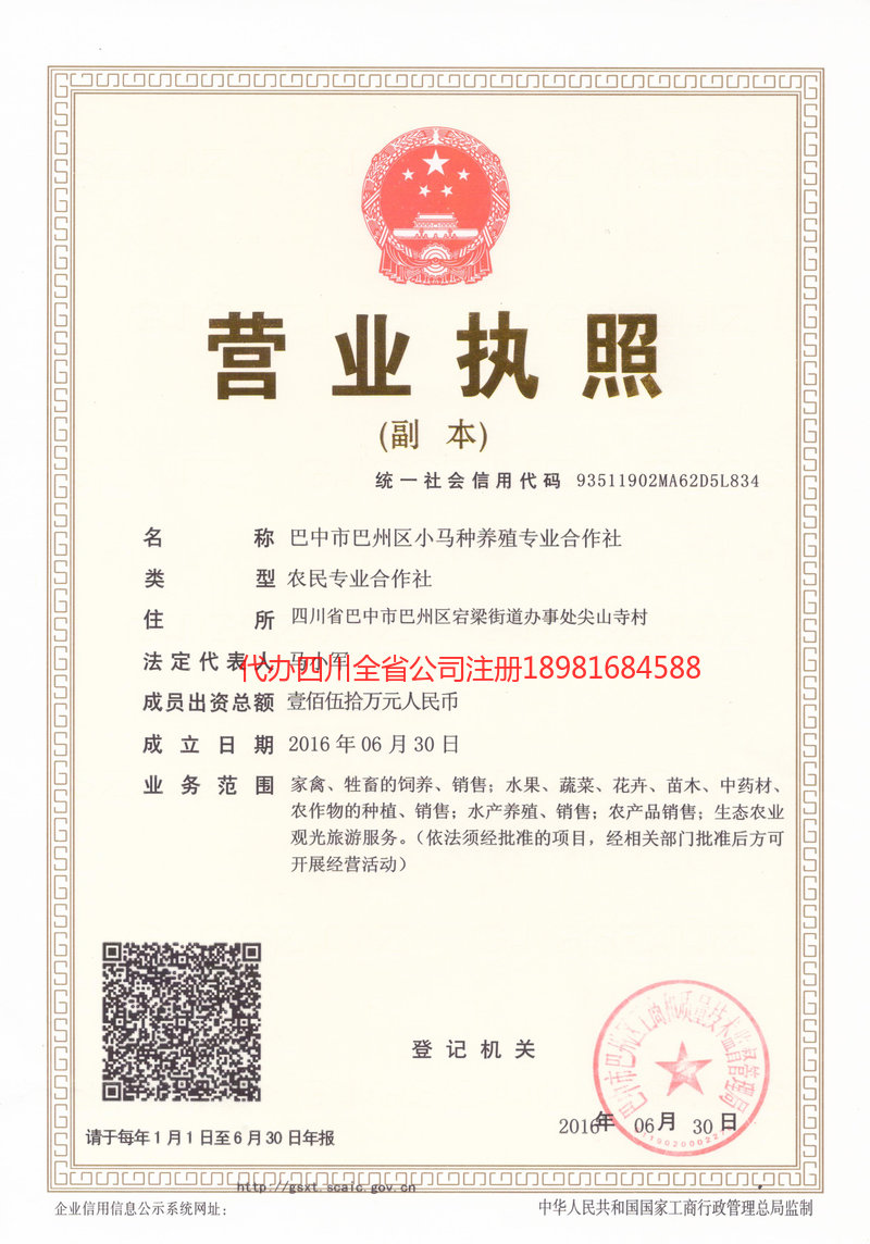 泸水泸水小马种养殖专业合作社